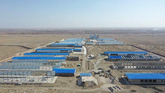 新疆和硕县260万余羽智能化蛋鸡养殖项目建设进度条刷新