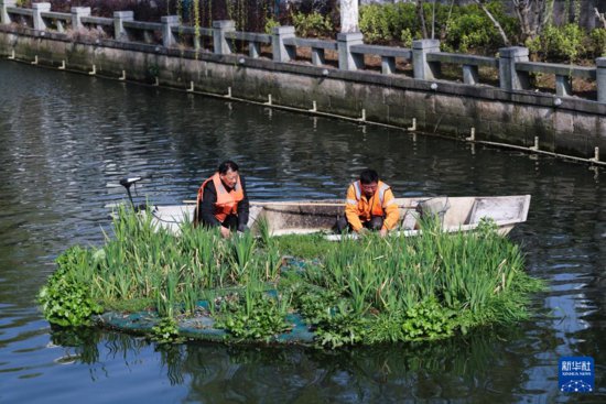 浙江湖州：提升河道水质 共建社区幸福河