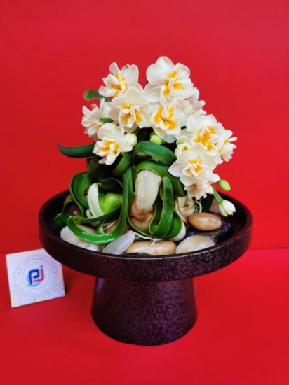 松江中小学师生这回出名了，他们的水仙花雕刻造型作品获奖数和...
