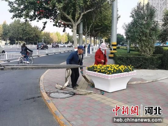 河北冀州：补植增绿“提品质” 生态城市“添新景”