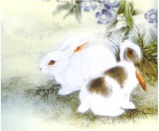 兔人：你家有生肖兔吗？赶紧告诉他，明天有“两喜”缠身