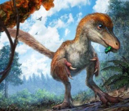 人类首次在琥珀中<em>发现恐龙</em>化石 可以清晰看到羽毛