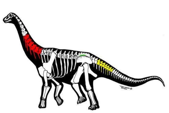 新疆哈密首次发现大型<em>恐龙</em>化石：天上有翼龙，地面有巨龙