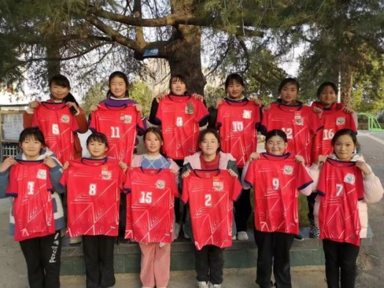 世界杯赛场外，这面来自安徽希望小学的女足队旗<em>引起关注</em>