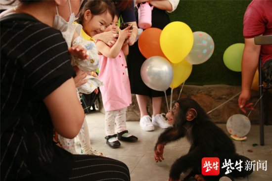 视频丨“动物宝宝”的“儿童节”