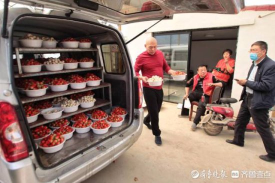 拾光|济南“胖子”草莓火出圈 50岁大叔种出“莓”好生活