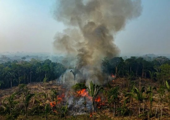 巴西亚马孙地区<em>本月</em>发生近3000起林火创纪录