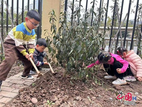 播种希望 幸福成长 | 泸州市春华路幼儿园开展植树节活动