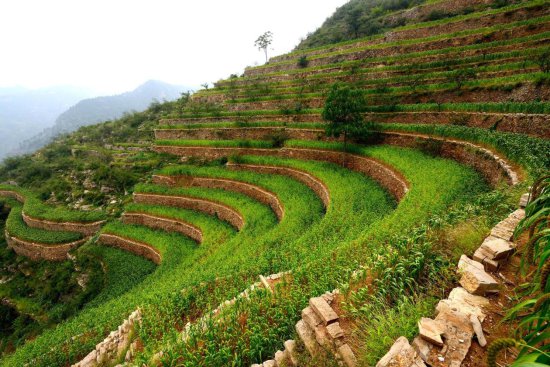 联合国粮农组织宣布：最新认定中国<em>三处</em>全球重要农业文化遗产