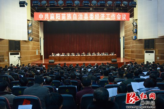 2017年麻阳县委经济工作会议召开