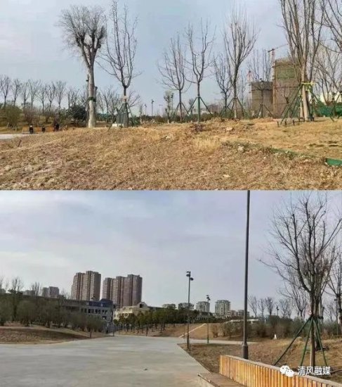 先施工后招标，商丘永城市园林绿化环境卫生中心绿化公厕项目...