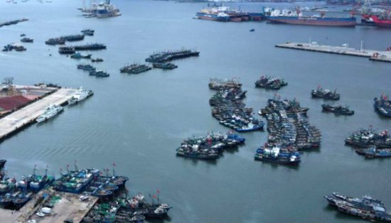 辽宁移动保障开海节渔港5G通信 持续发展智慧海洋业务