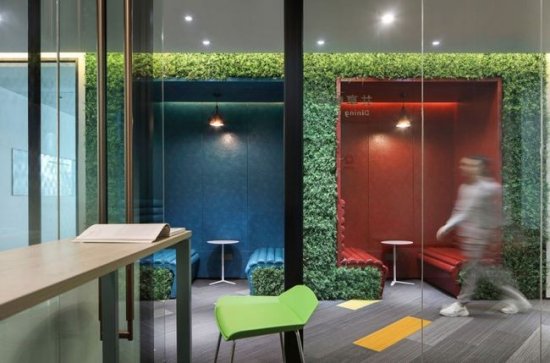办公室<em>装修</em>想设计一面绿植墙怎么做？