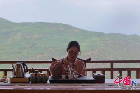 万千气象看云南｜茶旅融合 打造休闲旅游生态文化产业园