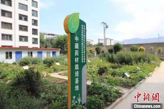 青海省青藏高原中藏药材科研科普基地通过考核
