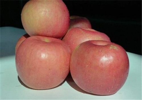 苹果在古代叫什么？古人取了个非常唯美的<em>名字</em>，被日本沿用至今