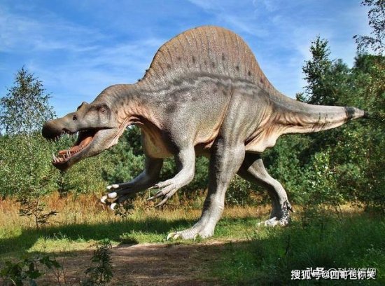 <em>霸王龙</em>并非恐龙世界唯一的统治者，这五种恐龙也不可小觑