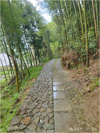 温州近郊这条有水潭、竹海、瀑布、串起传统古村落的休闲游步道...