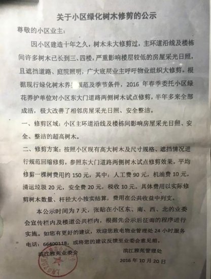 上海一小区10多棵<em>香樟树</em>遭剃头 涉事<em>绿化</em>企业被罚款