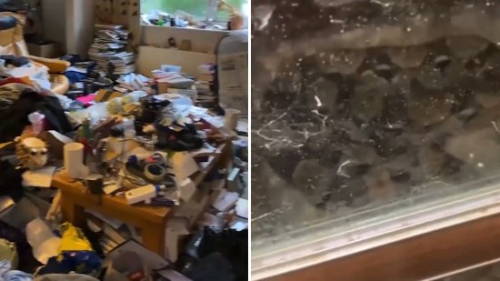 英国一户房客留下堆积如山的垃圾 房东在屋里还发现蟒蛇
