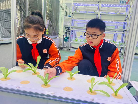 缙云县实验小学教育集团：打造科技种植园 培育未来科学家