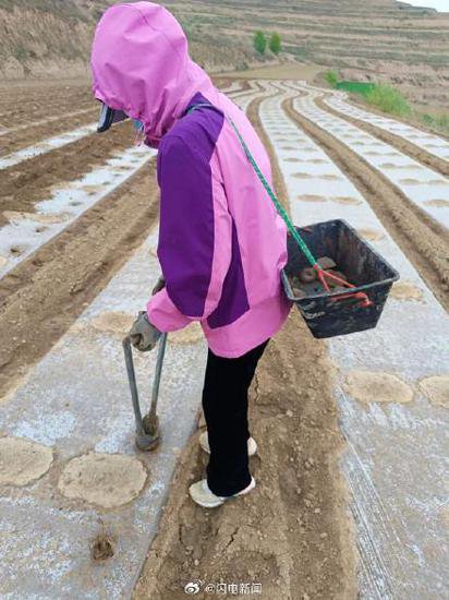 <em>大学女生</em>五一回家帮父母雨中施肥 农活提前完成，家人共感幸福