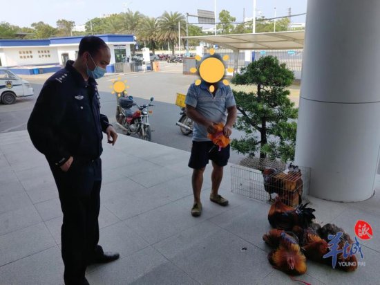 鸡棚遭遇盗窃！广州南沙警方3小时追回被盗13只家鸡