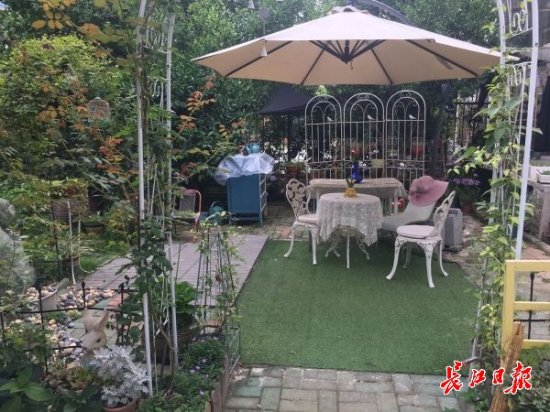 你家有阳台、露台、空闲处吗？武汉市绿委办喊你“秀”家庭花园