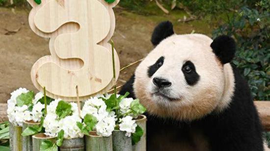 人气火爆！大熊猫福宝写真集在韩热销