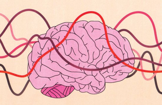 <em>月经周期</em>可以“重塑”大脑？