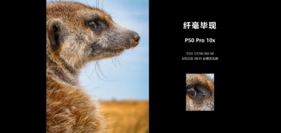 华为P50 Pro正式开售，再攀手机界科技美学与智慧摄影的<em>巅峰</em>！