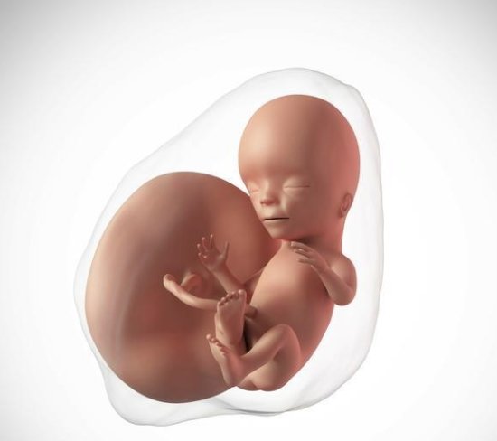 宝妈怀孕后胎宝胚芽大小<em>多少</em>算正常, 4到40<em>周胎儿</em>发育指标全攻略
