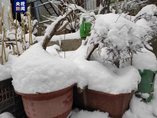 降雪量将达15毫米以上 甘肃漳县发布暴雪红色预警