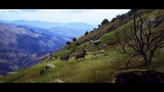 《猎人之路》公开动物宣传片 扮演<em>荒野猎人</em>狩猎动物
