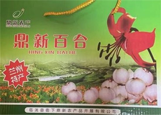 鼎新南乡：打造绿色农产品品牌