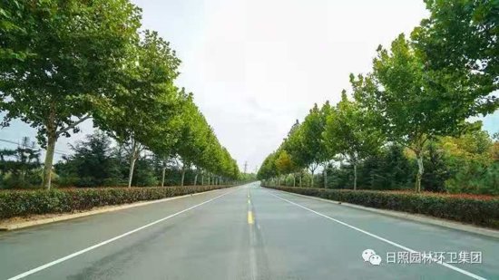 涛<em>雒</em>太阳大道和山海西路景观路