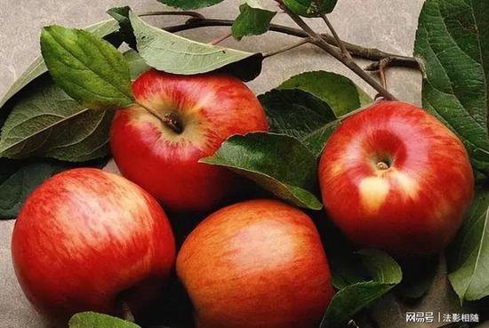 苹果本不叫“苹果”，古人取了个很唯美<em>的名字</em>，被日本人沿用...