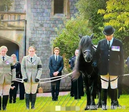女王葬礼上，她的宠物狗和<em>马匹</em>也来送行，看起来很暖心