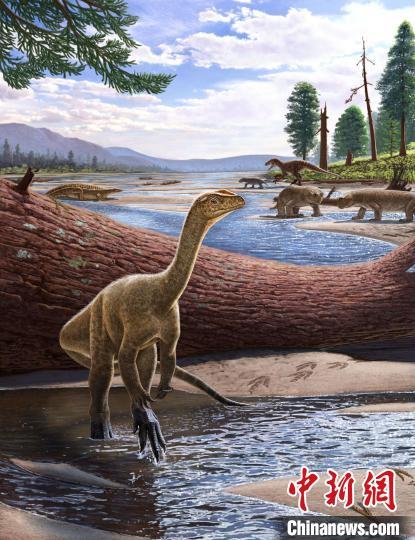 《自然》<em>最新</em>论文：最早的恐龙集中在盘古<em>大陆</em>南端温带区