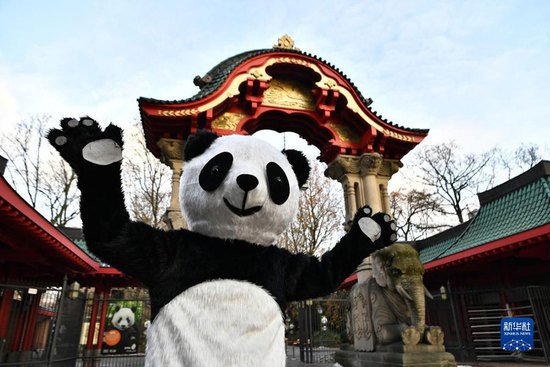 柏林动物园为即将回国的大熊猫<em>双胞胎</em>举办欢送活动