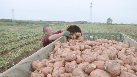 一年<em>网销</em>过亿元 湖北宜城薯农与电商平台“双向奔赴”