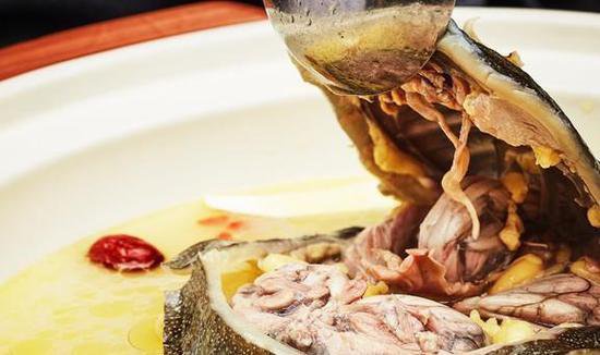 中国美食<em>甲鱼</em>的10种经典烹饪方式