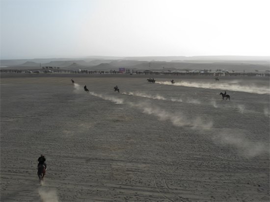 英吉沙丝路沙漠公园<em>赛马</em>叼羊，上演马背上的“速度与激情”