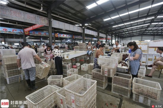 中国最大小龙虾<em>交易市场</em> 商贩月赚百万