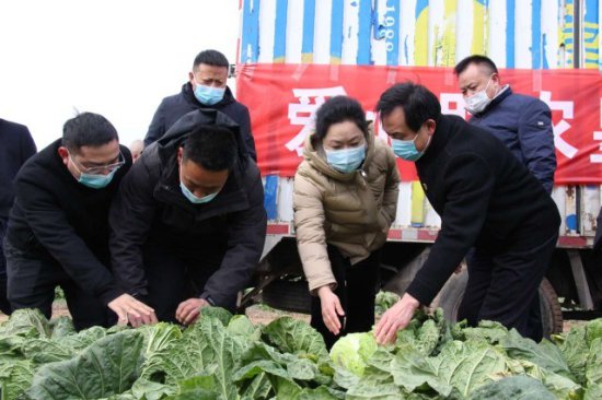 河南永城：开展民营企业“爱心助农”蔬菜采购助销活动