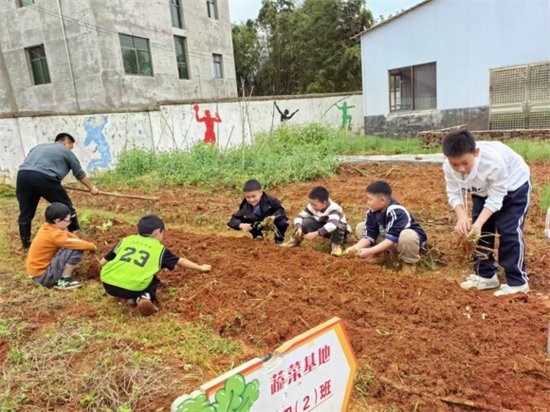 安福县洋溪镇中心小学开展种植蔬菜劳动活动
