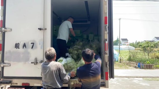 捐赠近两吨<em>球生菜</em>，金山这家合作社有心了！