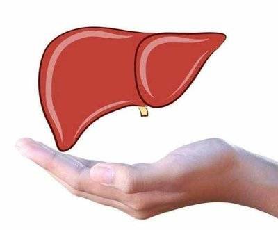 肝脏有问题的人，如果不想肝脏继续受损，在饮食方面该注意<em>什么</em>