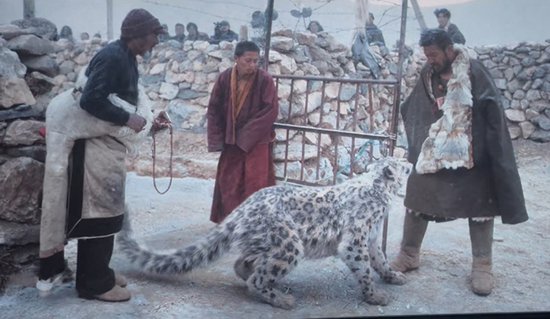影片《雪豹》关于艺术、慈悲和生存——致念我们的故友万导