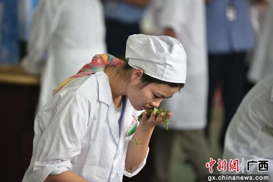 广西<em>茶叶</em>加工工（手工绿茶）职业技能竞赛在柳州举行